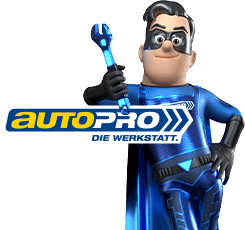 Kfz-Meisterbetrieb Teich